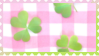 clovers on blanket